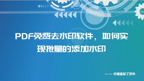 PDF水印免費去除軟件、批量添加水印方法及化妝品行業PDF水印制作教程